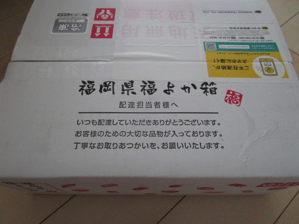 復袋ネタバレ 博多久松5000円福袋aセット届きました
